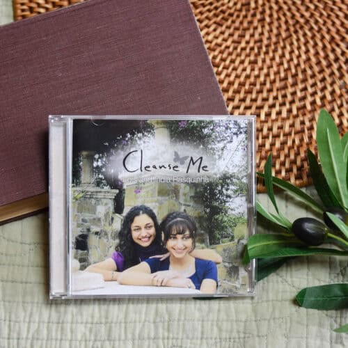 CD of "Cleanse Me". The music is surrounded by a bible and a small leafy plant.